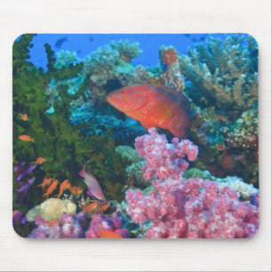 Tapis De Souris poisson-échelle Pseudanthias (Pseudanthias