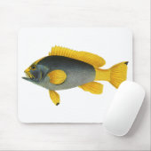 Tapis De Souris Poisson Groupeur Bleu et Jaune, Faune Marine Vinta (Avec souris)