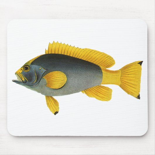Tapis De Souris Poisson Groupeur Bleu et Jaune, Faune Marine Vinta (Devant)