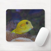 Tapis De Souris Poisson jaune (Avec souris)