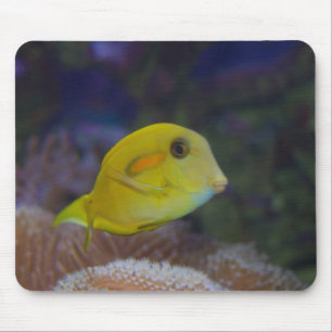 Tapis De Souris Poisson jaune