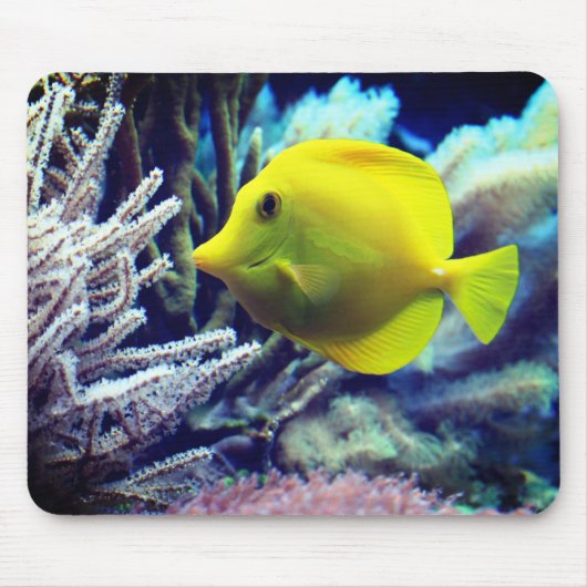 Tapis De Souris Poisson jaune (Devant)