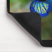 Tapis De Souris Poisson mandarin (Coin)