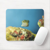 Tapis De Souris Poisson, Mer, Nature (Avec souris)