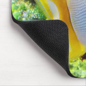 Tapis De Souris Poisson papillon (Coin)