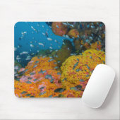 Tapis De Souris Poisson Parmi La Barrière De Corail (Avec souris)