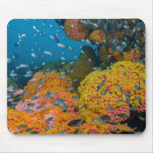 Tapis De Souris Poisson parmi le récif corallien