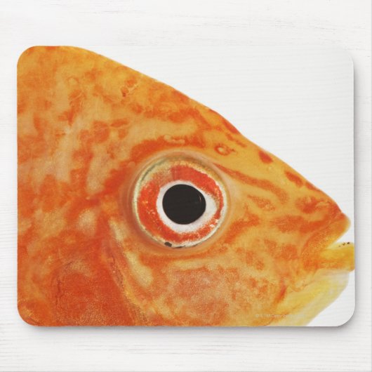 Tapis De Souris Poisson Red Deacon (Devant)