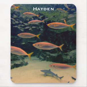 Tapis De Souris Poisson rose Shoale sous l'eau Photo personnalisée