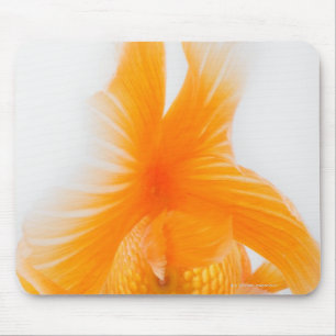 Tapis De Souris Poisson rouge orange de lionhead (auratus de