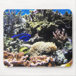 Tapis De Souris Poisson Royal Tang parmi les coraux