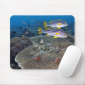 Tapis De Souris Poisson Sweetlip (Avec souris)