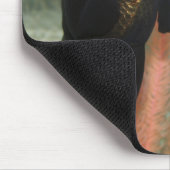 Tapis De Souris poissons (Coin)