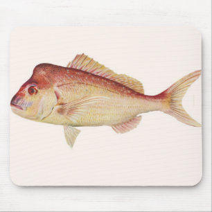 Tapis De Souris Poissons - cordelette - guttulatus de Chrysophrys