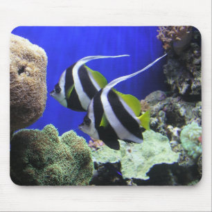 Tapis De Souris Poissons d'ange