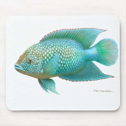 Tapis De Souris Poissons de Cichlid de Jack Dempsey (Devant)