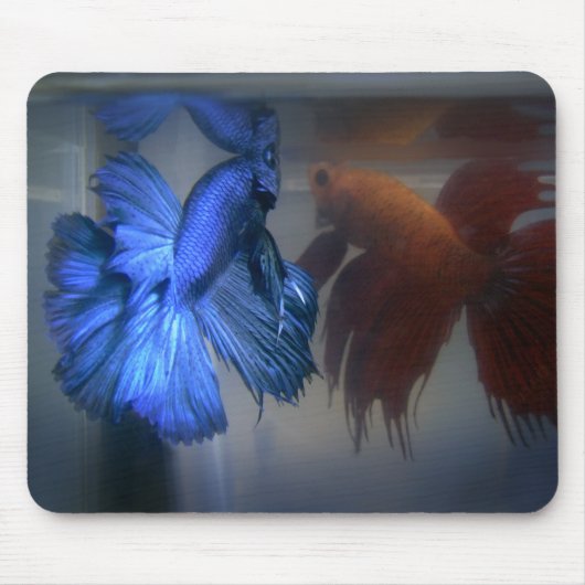 Tapis De Souris Poissons de combat (Devant)