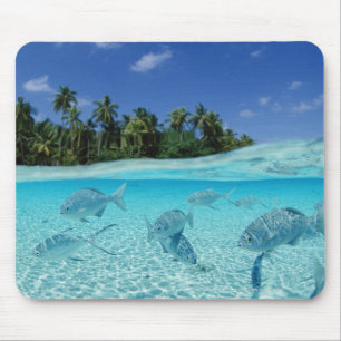 Tapis De Souris Poissons en mer