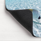 Tapis De Souris Poissons en mer 2 (Coin)