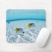 Tapis De Souris Poissons en mer 2 (Avec souris)
