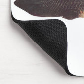 Tapis De Souris Poissons - Qld. Lungfish - forsteri de (Coin)