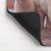 Tapis De Souris Polar Bear Mother and Cubs Photo (Coin)