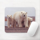 Tapis De Souris Polar Bear Mother and Cubs Photo (Avec souris)