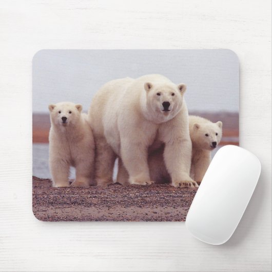 Tapis De Souris Polar Bear Mother and Cubs Photo (Avec souris)