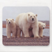 Tapis De Souris Polar Bear Mother and Cubs Photo (Devant)
