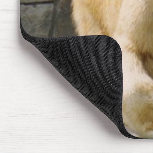 Tapis De Souris Polarbear (Coin)