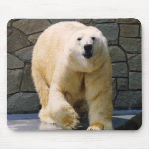 Tapis De Souris Polarbear