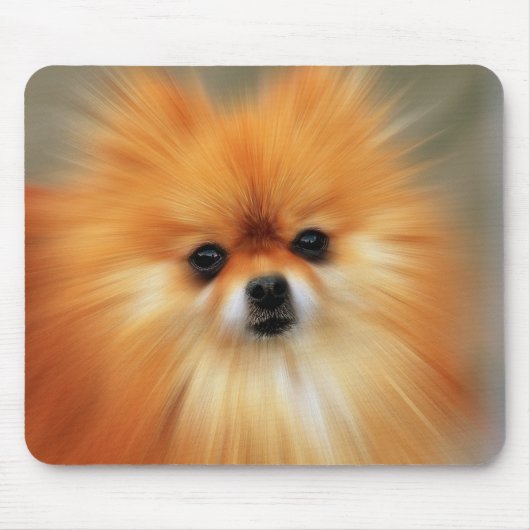 Tapis De Souris Pomeranian (Devant)