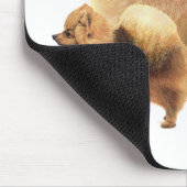 Tapis De Souris Pomeranian (Coin)
