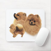 Tapis De Souris Pomeranian (Avec souris)