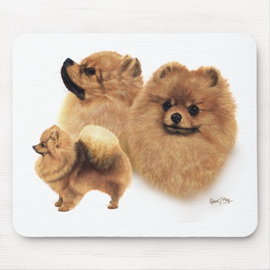 Tapis De Souris Pomeranian (Devant)