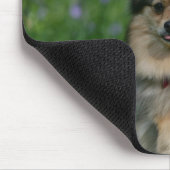 Tapis De Souris Pomeranian dans l'herbe (Coin)
