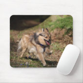 Tapis De Souris Pomeranian fonctionnant avec le harnais dessus (Avec souris)
