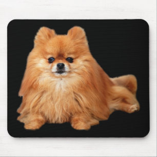 Tapis De Souris Pomeranian Mousepad