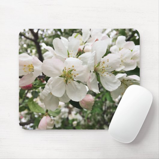 Tapis De Souris Pomme de feu (Avec souris)