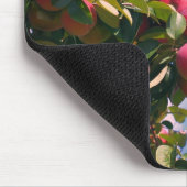 Tapis De Souris Pommes rouges dans la nature de l'arbre (Coin)