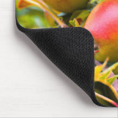 Tapis De Souris Pommes sur l'arbre (Coin)
