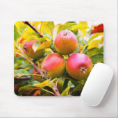 Tapis De Souris Pommes sur l'arbre (Avec souris)
