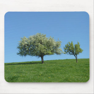 Tapis De Souris pommier