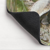 Tapis De Souris Pond Turtle (Coin)