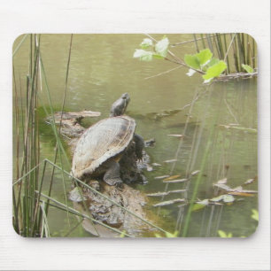 Tapis De Souris Pond Turtle