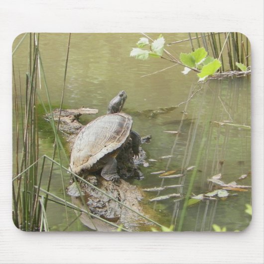 Tapis De Souris Pond Turtle (Devant)