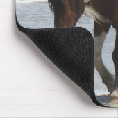 Tapis De Souris Poney d'île d'Assateague (Coin)