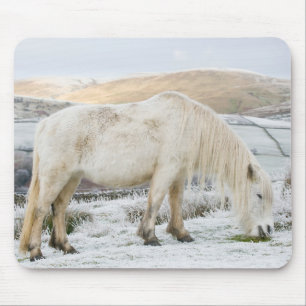 Tapis De Souris Poney Fell blanc sur la lande en hiver