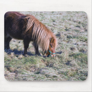 Tapis De Souris Poney mignon frôlant sur le pré