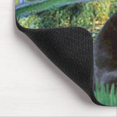 Tapis De Souris Pont - Boston Terrier #4 (Coin)